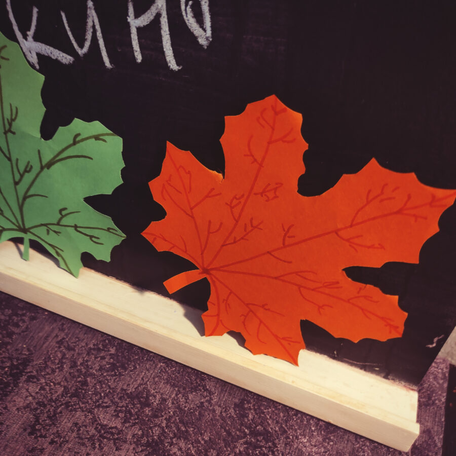 Осень у вас дома: кленовые листья из цветной бумаги
