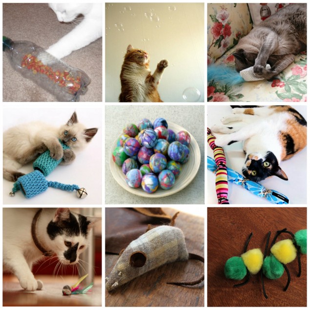 Игрушки для кошек своими руками: 8 идей для усатых и полосатых