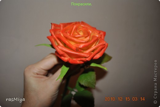 роза из холодного фарфора мк
