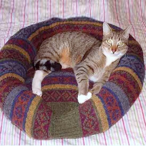 Спальное место для кошки своими руками пошаговая инструкция фото