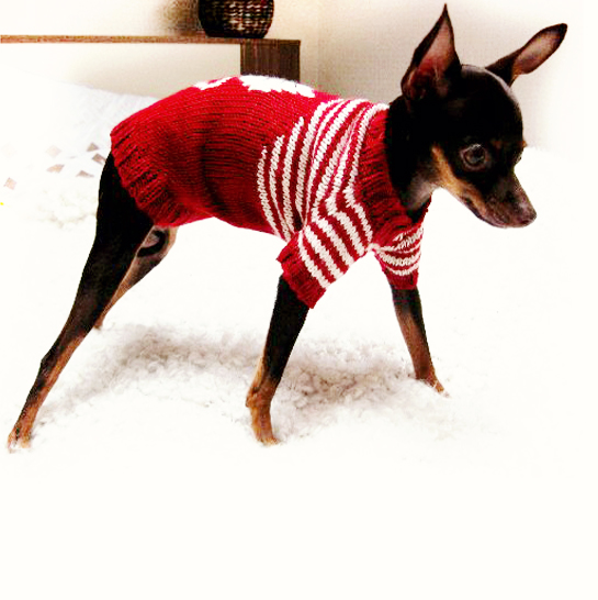 Вязаный свитер для собак