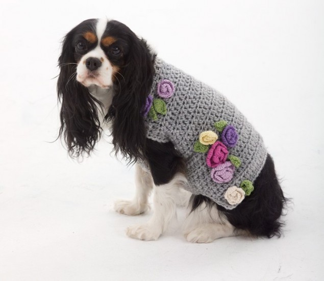 Как связать самый простой свитер для собаки