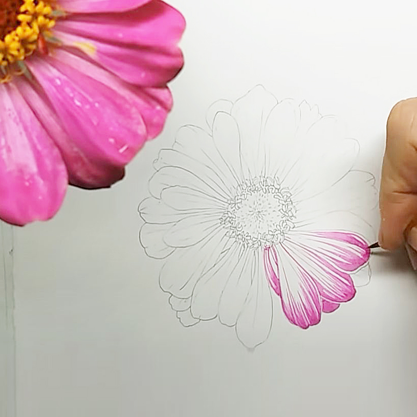 как нарисовать цветок мастер-класс
