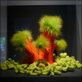 Гиперболический вязаный коралловый риф - crochetcoralreef.org