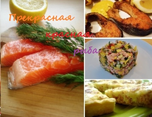 Как вкусно приготовить красную рыбу — 7 фото-рецептов на все случаи жизни