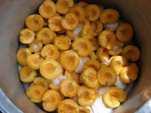 как приготовить абрикосовое варенье
