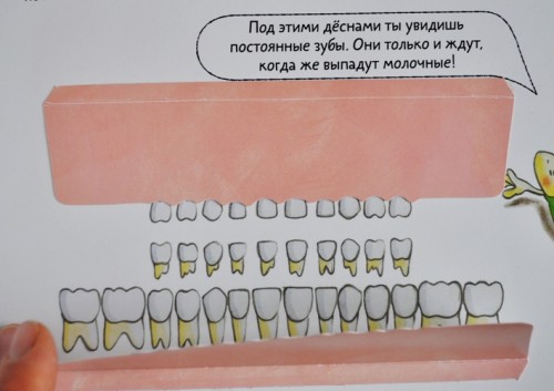 книга про молочные зубы