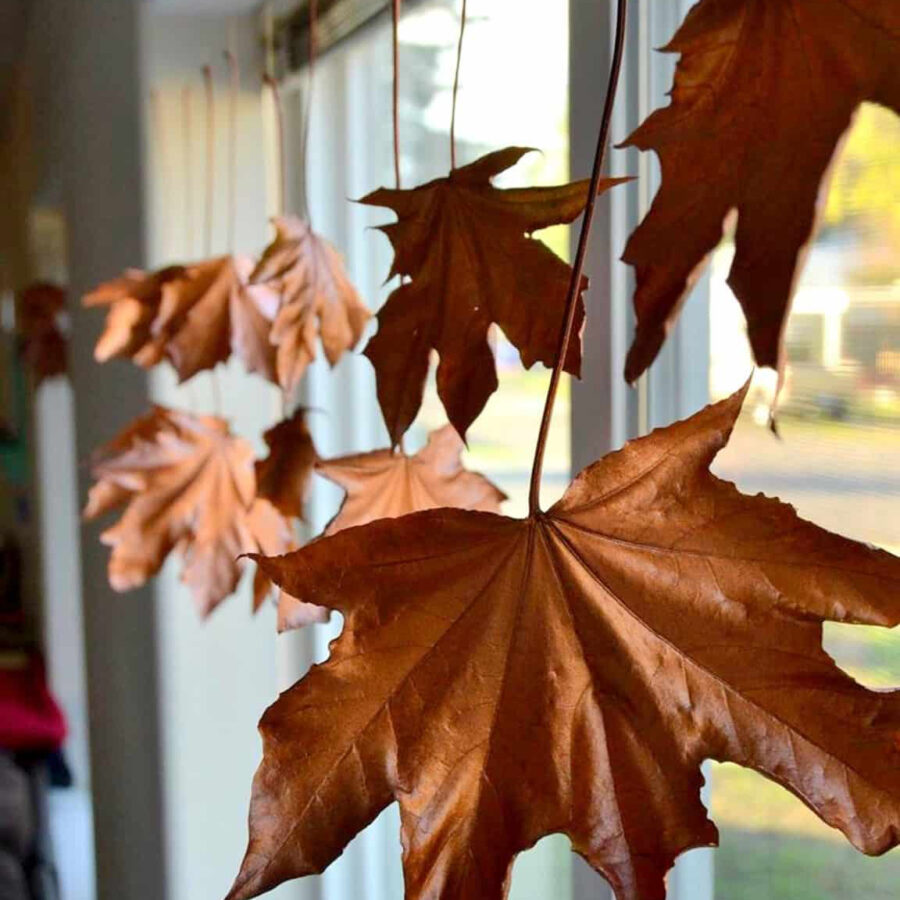 Поделки из осенних листьев — 5 идей для реализации с детьми