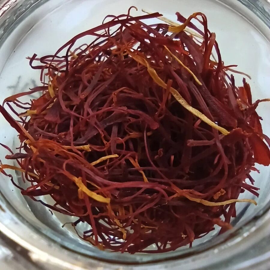 Испанский шафран