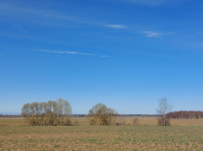 Чудесный солнечный день. 3 апреля