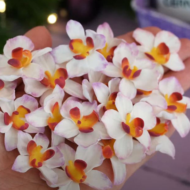 Тропические красавицы своими руками: орхидеи из полимерной глины