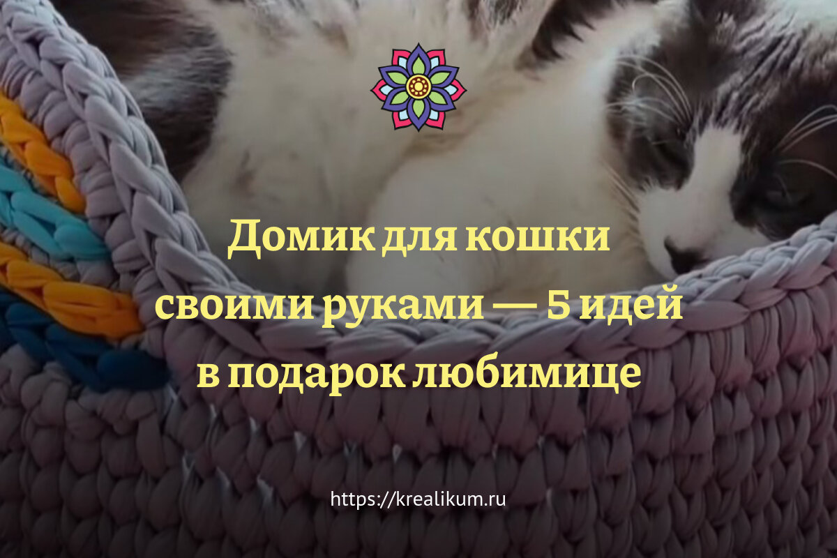 Домик для кошки своими руками: пошаговая инструкция — INMYROOM